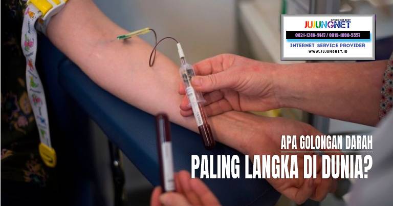 Apa Golongan Darah Paling Langka di Dunia?